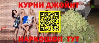 ECSTASY Новодвинск
